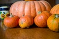 Harvest big and small pumpkins Royalty Free Stock Photo