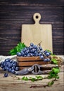 Harvest blue grapes in box copyspace vine