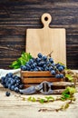 Harvest blue grapes in box copyspace vine