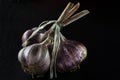 Harvest. A bunch of garlic lies on a black background close-up Royalty Free Stock Photo