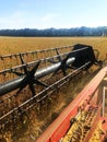 Harvest campaign. Field arrays of soybeans without GMOs