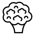 Harvest cauliflower icon outline vector. Piece food
