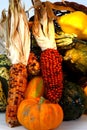 Harvest close-up Royalty Free Stock Photo