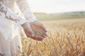 Harvest, close up of girl hands holding wheat grains. Agriculture and prosperity concept
