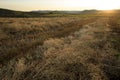 Harvest cole on farmland Royalty Free Stock Photo