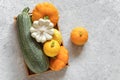 Harvest colored different vegetables gourds pumpkin, zucchini, squash in a wooden box on gray stone background. Top view Flat lay Royalty Free Stock Photo