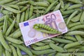 Harvest concept- euro money banknot on ripe pea pods Royalty Free Stock Photo