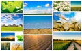 Harvest Concepts. Cereal Collage Royalty Free Stock Photo