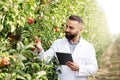 Harvest control on fruit farm and modern devices for work at summer and business