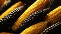harvest corn black pepper Royalty Free Stock Photo