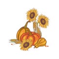Harvest corn, sunflower and pumpkin Royalty Free Stock Photo
