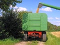 Harvest on a cornfield