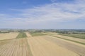 Harvest Cornfield in Germnay