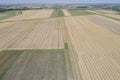 Harvest Cornfield in Germnay