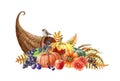 Harvest cornucopia hand drawn watercolor illustration. Festive thanksgiving cornucopia with pumpkins, grapes, apples