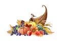 Harvest cornucopia watercolor illustration. Hand drawn festive thanksgiving cornucopia with pumpkins, grapes, apples Royalty Free Stock Photo