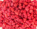 Harvest delicious raspberries. Red and delicious raspberry berry Royalty Free Stock Photo