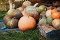 Harvest of different pumpkins in countryside, vintage style and rustic background. Halloween theme or autumnal vegetable market.