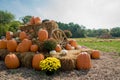 Pumpkins, Mums, and Hay Royalty Free Stock Photo