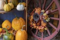 Harvest display of gourds for sale Royalty Free Stock Photo