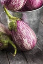 Harvest of eggplant graffiti on a dark background Royalty Free Stock Photo