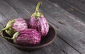 Harvest of eggplant graffiti on a dark wooden background Royalty Free Stock Photo