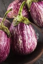 Harvest of eggplant graffiti on a dark wooden background. Royalty Free Stock Photo