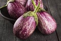 Harvest of eggplant graffiti on a dark wooden background. Royalty Free Stock Photo