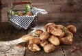 Harvest of farm fresh potatoes Royalty Free Stock Photo