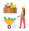 Harvest Farming Woman Set Vector Illustration