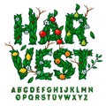 Harvest festival alphabet made with leaves and fruits