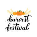 Harvest festival calligraphy lettering with hand drawn pumpkins and wheat ears isolated on white. Vector template for banner, Royalty Free Stock Photo