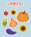 Harvest Festival Stikers. Set stickers with vegetables.