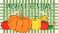 Harvest festival vector vegetables banner