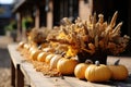 Harvest Festive Decor Outdoor decor celebrating autumn - stock photo concepts Royalty Free Stock Photo