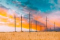 Harvest Field Under Power Line Background. Harvest Field Combination Nature And Technologie. Bright Colors. Fiery Sunset