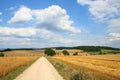 Harvest Fields and Road Royalty Free Stock Photo