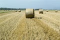 Harvest Fields With Straw in t Royalty Free Stock Photo