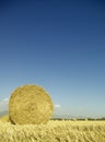 Harvest Fields With Straw in t Royalty Free Stock Photo