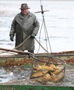 Harvest of fishpond.