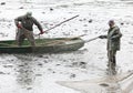 Harvest of fishpond. Royalty Free Stock Photo