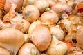 Fresh ripe gold onions in market or field. harvest, food and garden concept.