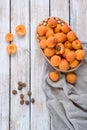 Harvest of fresh apricots in a wicker basket