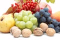 Harvest: fresh autumn fruits on white background