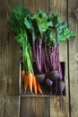 Harvest fresh carrot and beetroot on old wooden board. Top view, rustic style. Autumn still life. Copy space. Royalty Free Stock Photo