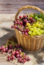 Harvest of fresh organic wine grapes in the basket, autumn