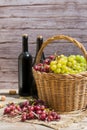 Harvest of fresh organic wine grapes in the basket, autumn