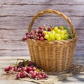 Harvest of fresh organic wine grapes in the basket, autumn