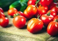 Harvest of fresh ripe tomatoes on wooden table.