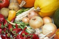 Harvest. Fresh ripe vegetables Royalty Free Stock Photo